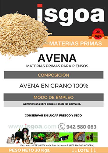 Avena para Animales. Saco 30 Kg. Isgoa