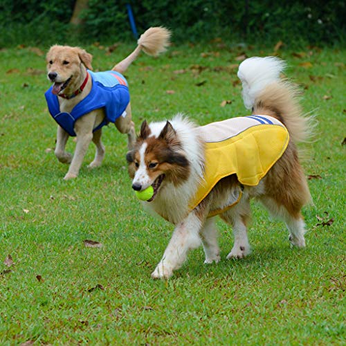 B Blesiya Ropa de Enfriamiento de Perros Enfriador de Abrigo de Animales Chaleco Refrescante Regalo para Mascota - S