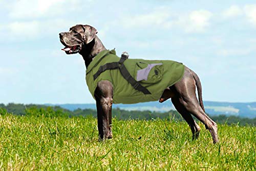 Babydog Ropa para Perros Mascotas, Abrigos Chaquetas de Invierno Suave,Chaleco arnés de Perro Traje de Suéter con Bolsillos (L, Verde)