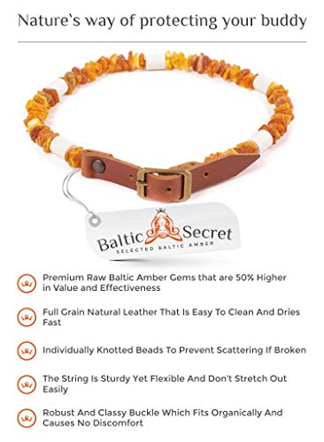 Baltic Secret - Collar de ámbar para Perro, con púas de cerámica EM - microorganismos efectivos - Collar de ámbar para Perros - ámbar - protección contra garrapatas