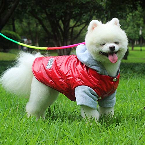 BAYUE La Mejor Venta de Invierno for Mascotas Ropa for Perros Caliente Abajo Chaqueta Impermeable Capa S-XXL Sudaderas for Chihuahua Pequeño Mediano Perros de Perrito (Color : Rojo, Size : L)