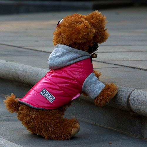 BAYUE La Mejor Venta de Invierno for Mascotas Ropa for Perros Caliente Abajo Chaqueta Impermeable Capa S-XXL Sudaderas for Chihuahua Pequeño Mediano Perros de Perrito (Color : Rojo, Size : L)