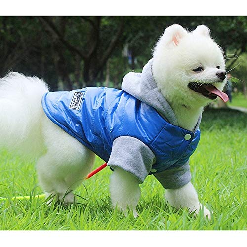 BAYUE La Mejor Venta de Invierno for Mascotas Ropa for Perros Caliente Abajo Chaqueta Impermeable Capa S-XXL Sudaderas for Chihuahua Pequeño Mediano Perros de Perrito (Color : Rojo, Size : L)