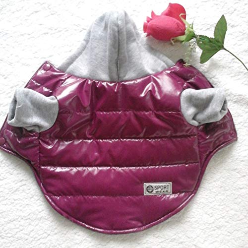 BAYUE La Mejor Venta de Invierno for Mascotas Ropa for Perros Caliente Abajo Chaqueta Impermeable Capa S-XXL Sudaderas for Chihuahua Pequeño Mediano Perros de Perrito (Color : Rojo, Size : L)