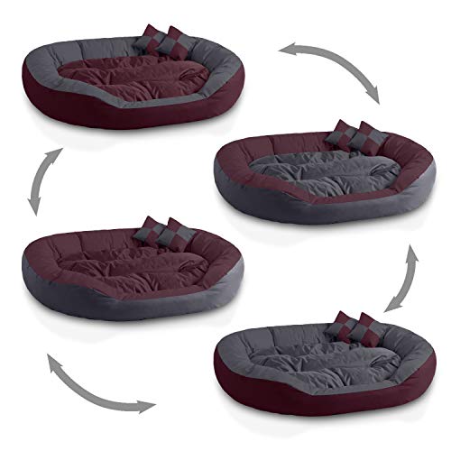 BedDog® 4en1 Saba Cereza/Gris XXL Aprox. 110x80cm colchón para Perro, 7 Colores, Cama, sofá, Cesta para Perro