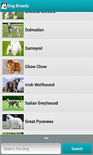 Best Dog Breeds