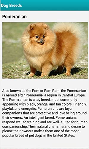 Best Dog Breeds