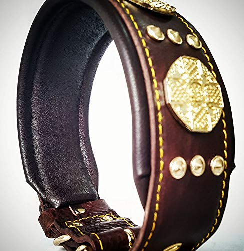 Bestia Collar Maximus para Perros en Cuero Genuino, Razas Grandes, Corso de caña, Rottweiler, Boxer, Bullmastiff, Dogo, 100% Cuero, Tachonado, Talla M- XXL, Ancho 6.3 cm. Acolchado. Hecho a Mano