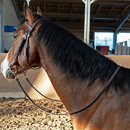 bio-leine - Riendas Cerradas para Caballos y Ponis, cortacésped de Supergrip BioThane® I Resistente a la Suciedad y al Agua I 12-19 mm de Ancho I 2-3 Metros de Largo en 4 Colores