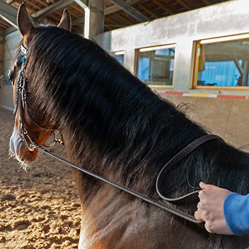 bio-leine - Riendas Cerradas para Caballos y Ponis, cortacésped de Supergrip BioThane® I Resistente a la Suciedad y al Agua I 12-19 mm de Ancho I 2-3 Metros de Largo en 4 Colores