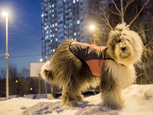 BLACKDOGGY Abrigo Impermeable para Perros Abrigo de Perro con fácil de Usar cómoda Ropa de Abrigo de Lana de Polo Grande para el Exterior y el Clima frío Vinculante Reflejo Visible en la Noche