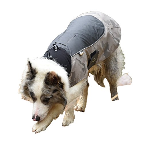 BLACKDOGGY Back Doggy impermeable reflectante Perros Chubasquero, nailon Fieltro, perros Chaleco para perros pequeños, medianos y grandes, Azul, XS