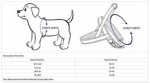 Blueberry Pet Arnés de Neopreno Acolchado para Perro Suave y cómodo, 5 Colores, Collar a Juego y Correa Disponible por Separado