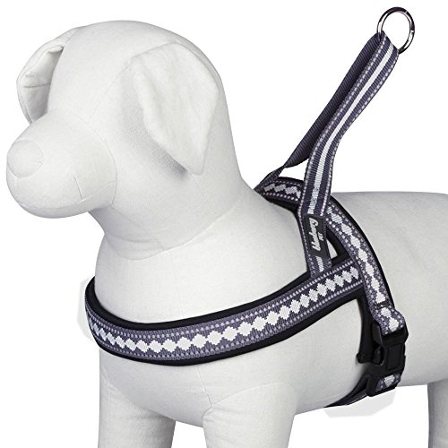 Blueberry Pet Arnés de Neopreno Acolchado para Perro Suave y cómodo, 5 Colores, Collar a Juego y Correa Disponible por Separado