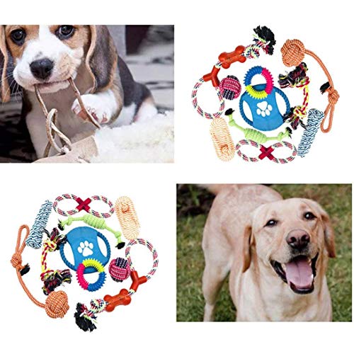 Bontand 10pcs para Perros Juguetes Interactivos del Perro Casero del Chew del Juguete del Juguete Que Vuelan Discos Cuerdas Pelotas Mascotas Perros Amor Lanzar Limpieza De Dientes Mordedura Juguete