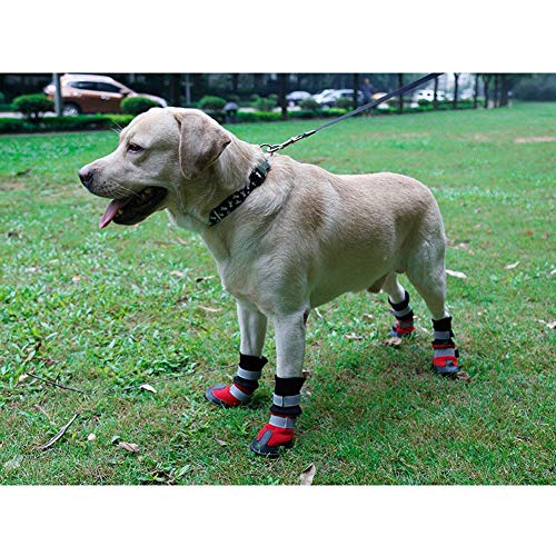 Botas Para Perros, 4 Piezas De Zapatos Para Perros, Abrigos Cálidos Para Otoño E Invierno, Protectores De Patas Con Correas Ajustables Para Perros Medianos A Grandes,Rojo,S