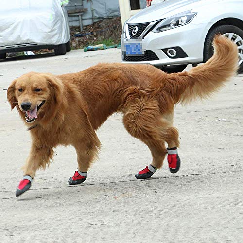 Botas Para Perros, 4 Piezas Zapatos Para Perros Mascotas Zapatos De Red Four Seasons Botas Para Perros Bulldog Francés, Protectores De Patas Con Correas Ajustables Para Perros,Rojo,7#=6.5cm(W)