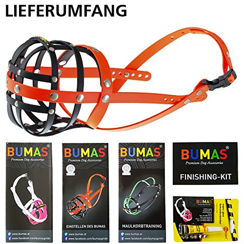 BUMAS Maul Cesta Jack Russell Terrier, protección Animal Certificado, de Mano diseñada de feinstem biothane, Negro/Naranja