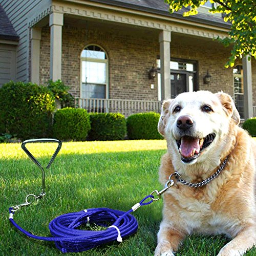 Cable y estaca para perro pequeño y grande para acampada