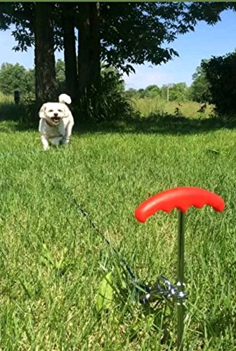 Cable y estaca para perro pequeño y grande para acampada