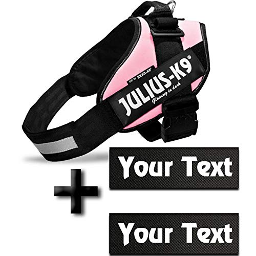 Canicaprice Julius K9 Power IDC - Arnés con 2 etiquetas personalizables, rosa