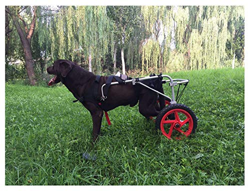 Carrito para perros, adecuado para la práctica de mascotas, rehabilitación, lesiones asistidas, caminatas asistidas, perros grandes especiales, ajustables, 2 ruedas, 25 kg (55 libras) - 55 kg (121 lib