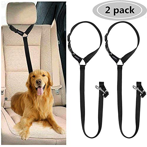 CGBOOM - 2 Unidades de cinturón de Seguridad para Perro, Correa de Seguridad para Mascotas, arnés de Nailon para Coche, cinturón de Seguridad Ajustable para Perro, Accesorios de Viaje (Negro)