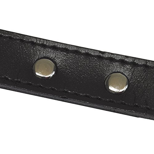 CHAPUIS SELLERIE SLA048, Collar de perro, Piel sintética negra con tachuelas, Ancho 20  mm, Largo 45 cm, Talla M