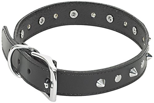 CHAPUIS SELLERIE SLA048, Collar de perro, Piel sintética negra con tachuelas, Ancho 20  mm, Largo 45 cm, Talla M