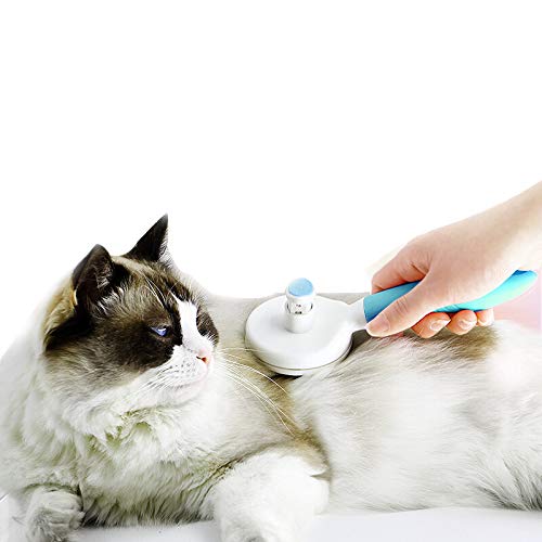 CNCBT La eliminación del Pelo del Peine, con un Solo botón de Limpieza y Masaje del Gato de Limpieza Peine, Usado para Animales domésticos: Peinar Gato,Azul