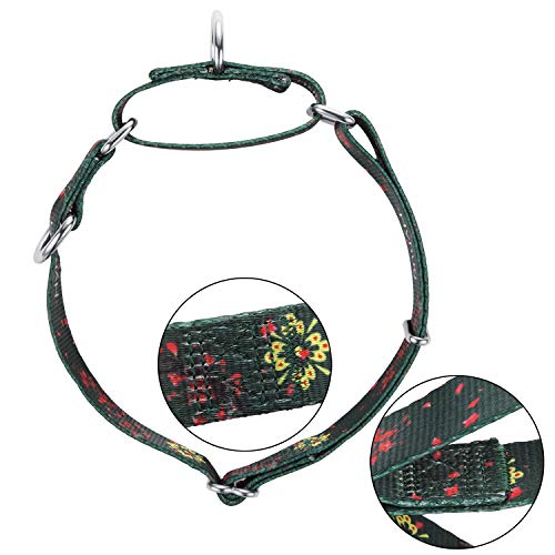 Collar de perro Martingale de doble anillo mejorado duradero para cachorros de perros pequeños que caminan y adiestran etiquetas y accesorios de identificación adjunta (Pequeño S, Verde ciruelo flor)