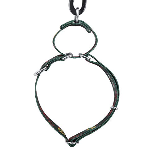 Collar de perro Martingale de doble anillo mejorado duradero para cachorros de perros pequeños que caminan y adiestran etiquetas y accesorios de identificación adjunta (Pequeño S, Verde ciruelo flor)