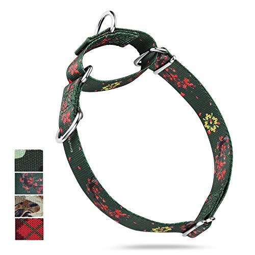 Collar de perro Martingale de doble anillo mejorado duradero para cachorros de perros pequeños que caminan y adiestran etiquetas y accesorios de identificación adjunta (Pequeño S, Verde ciruelo flor)