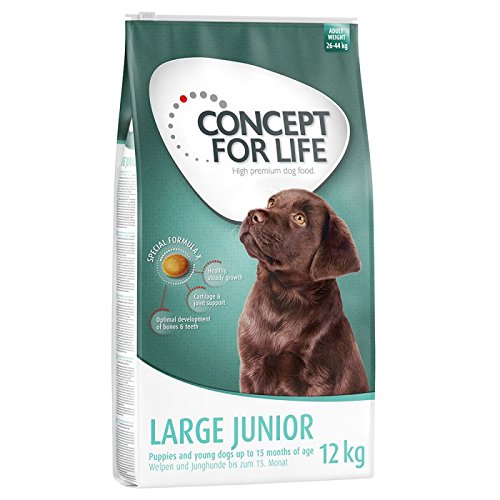 Concept vida Junior grande. Una comida para perro saludable y bien caliente.