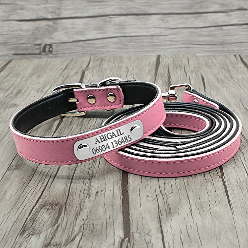 Conjunto de correa de piel ajustable y collar acolchado personalizable para perro de la marca Berry