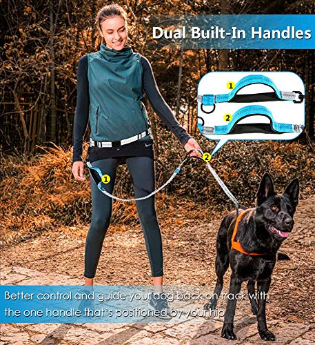 Correa de perro, Manos Libres Trotar Caminar, Correa para Correr con Perros, Cinturón con Bolsa Compartimento, Elástica per Jogging, Cani Walking Training