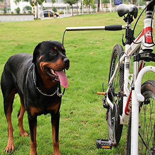 Correa para bicicleta con cordón elástico y correa retráctil | Cable para manos libres con conector rápido | Ejercitador para paseador de bicicletas para perros pequeños a grandes | Bono incluido