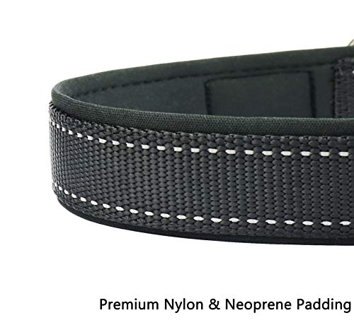 CRAZYMAN Collar para Perro, Cuello de Perro Fuerte Transpirable Reflectante, Nylon Collar de Perro de Seguridad Ajustable Reflectante cómodo para Perros pequeños/medianos / Grandes (S)