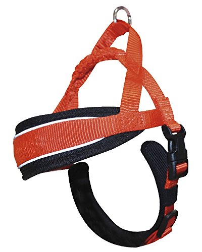 Croci C5081871 Hiking Arnés Sueco Endurance Naranja, M, 58-66 cm