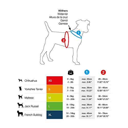 Curli - Arnés para Perro, de Malla Transpirable