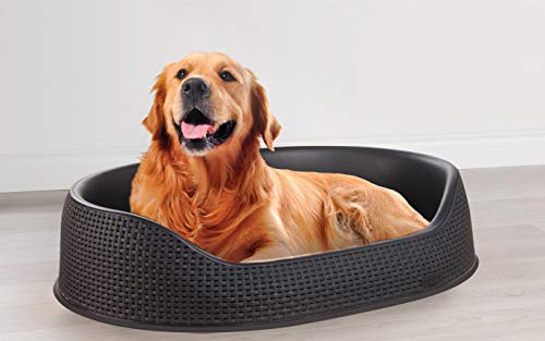 CURVER Cama Petlife Style L Antracita K&Bz Rest Bed Antr 112X94X24, plástico de Efecto ratán, Negro