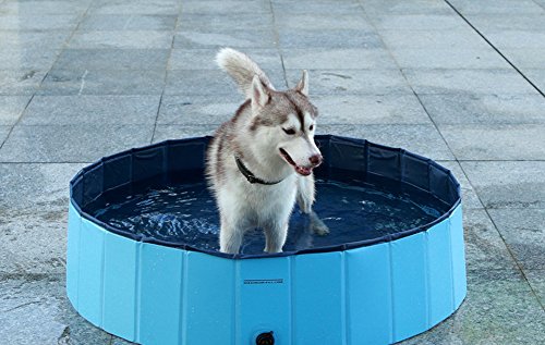 Cutepet Bañera Mascotas Portátil para Animales Piscina Perros Y Gatos Adecuado Interior Exterior Al Aire Libre Natacion Perro Gato Mascota Tina,M