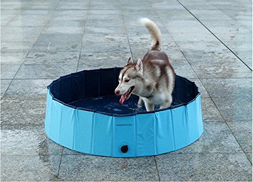 Cutepet Bañera Mascotas Portátil para Animales Piscina Perros Y Gatos Adecuado Interior Exterior Al Aire Libre Natacion Perro Gato Mascota Tina,M