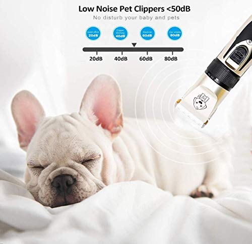 CVXCVCBCG Pet maquinilla eléctrica con 4 guías Peine Tijeras sin Cable de bajo Ruido y estética Recargable Trimmer for el Gato del Perro y Otros Animales