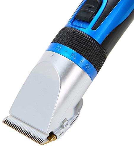 CVXCVCBCG Profesional de bajo Ruido de la Herramienta de Recorte eléctrico sin Cuerda Recargable Set Blue Pet Grooming Clippers con 4 guías sobre Peine for Perro Gato Conejo