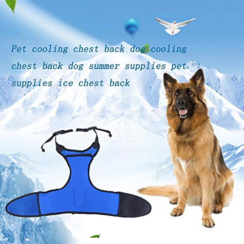 cypressen No Pull Dog Harness, Soft Breathable Mesh Vest Harness, Verano Adjustable Sport Harness para Medianas Perros de fácil Control, fácil de Poner y Quitar