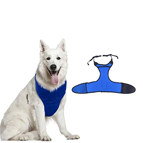 cypressen No Pull Dog Harness, Soft Breathable Mesh Vest Harness, Verano Adjustable Sport Harness para Medianas Perros de fácil Control, fácil de Poner y Quitar