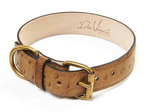 Da Vinci Lucrezia Piel Collar de Perro con diseño de Avestruz, 65 cm