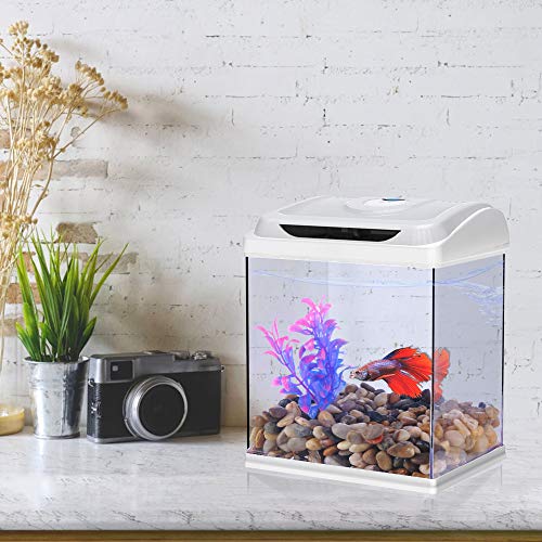 DADYPET Pecera,Mini Pecera y Acuarios,3.6L Marina Kit de Acuario con Iluminación LED Bomba Sumergible