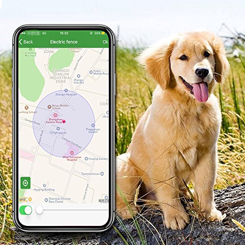 DAGPS Monitor de Actividad para Perros GPS para Android/iPhone, Resistente al Agua y Ajustable para Todos los tamaños de Perros